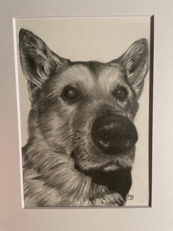 &quot;Wiley&quot;, Graphite, 2025